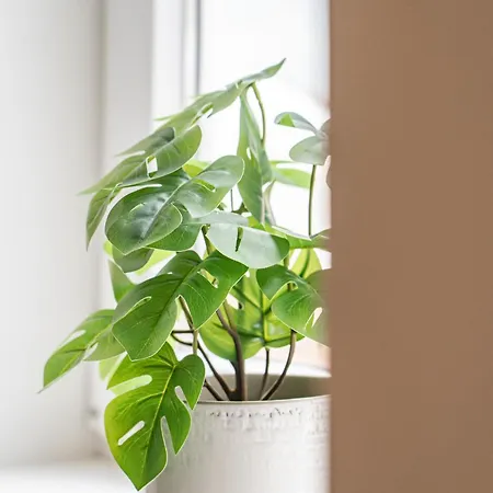 Beato Riverside Cozy * Lisbon