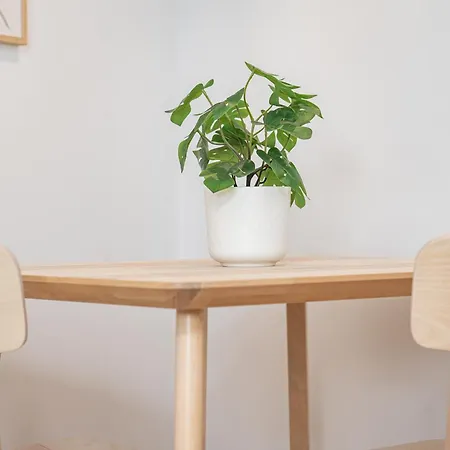 Beato Riverside Cozy Apartment *